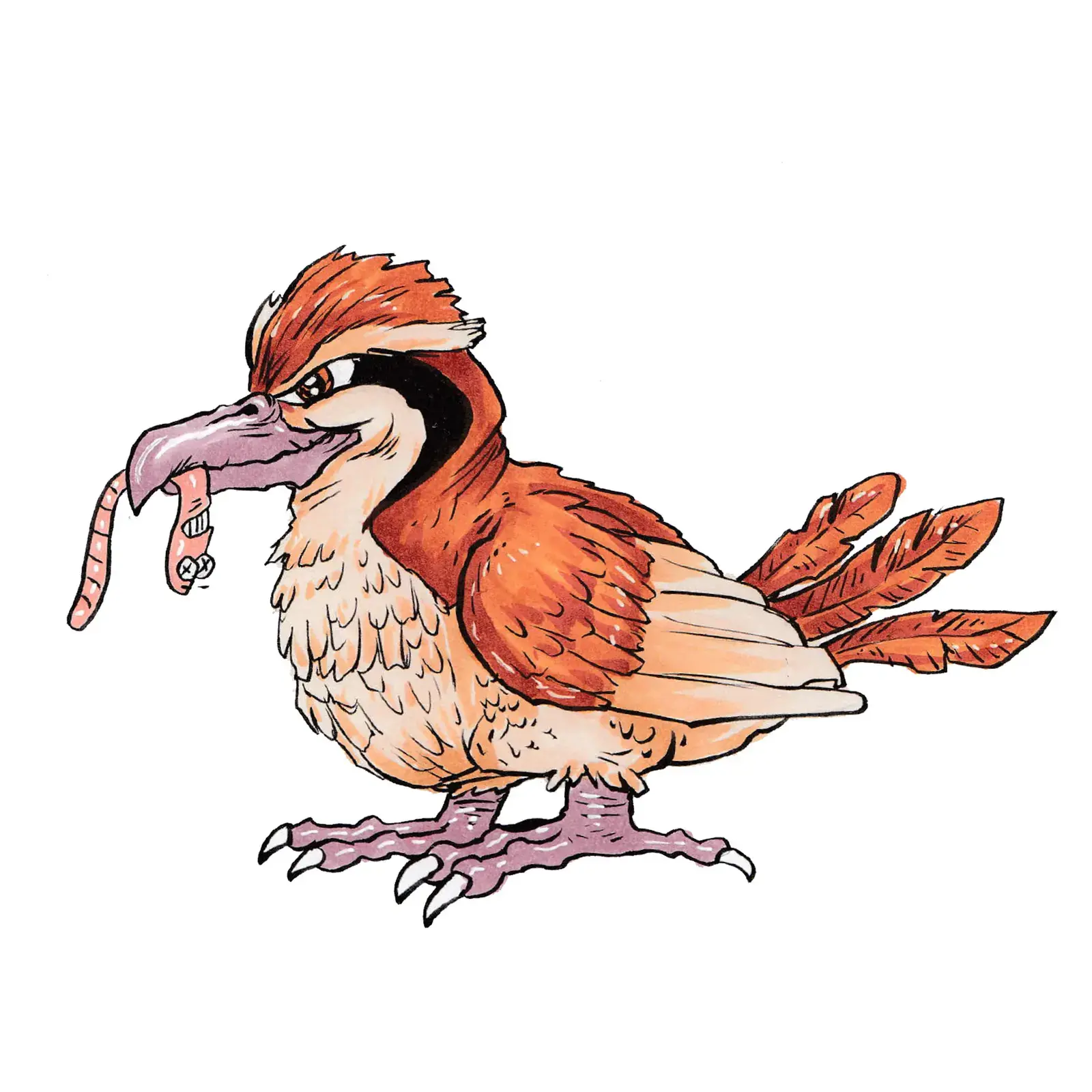 Pidgey, drawn by Ellis Ricketts