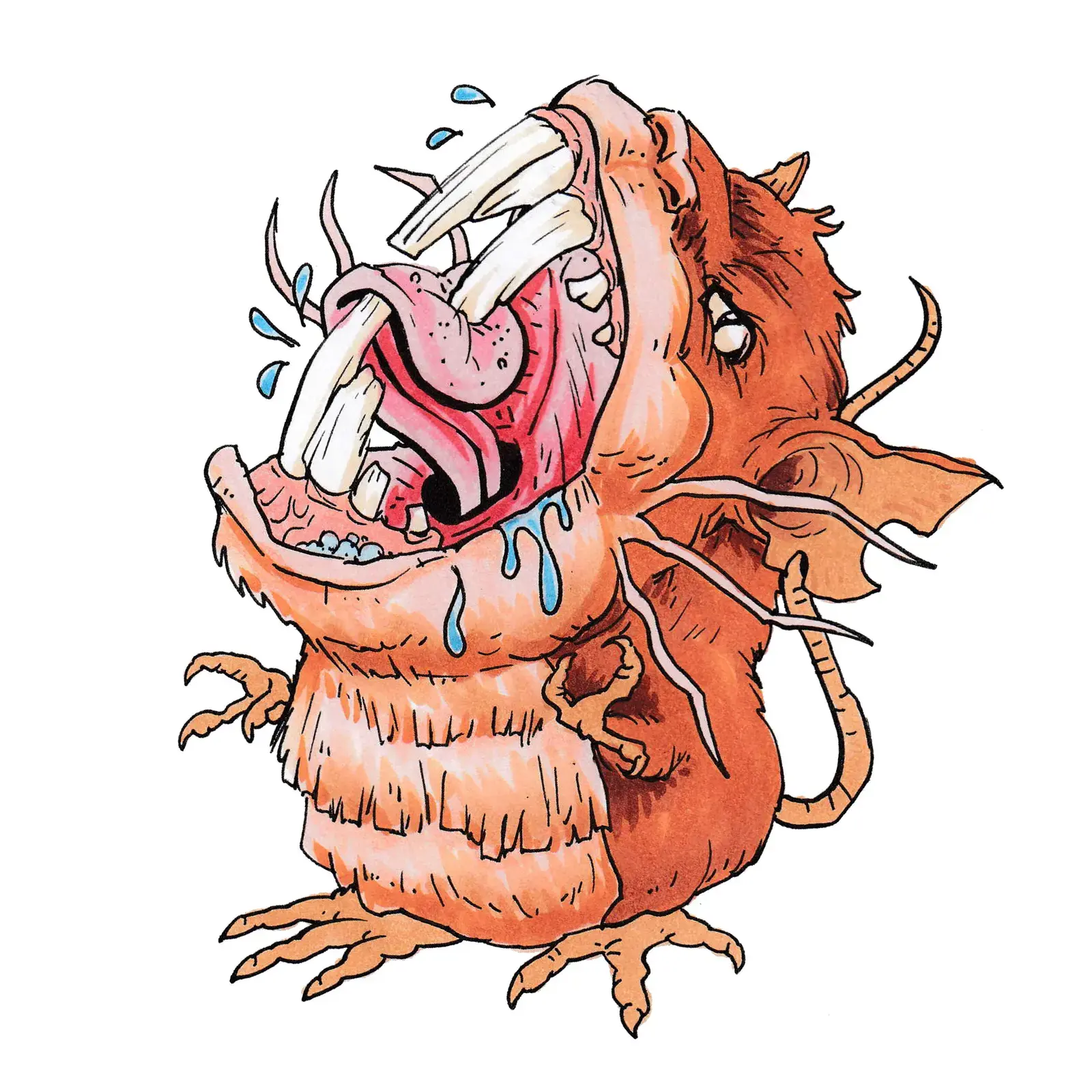 Raticate, drawn by Ellis Ricketts