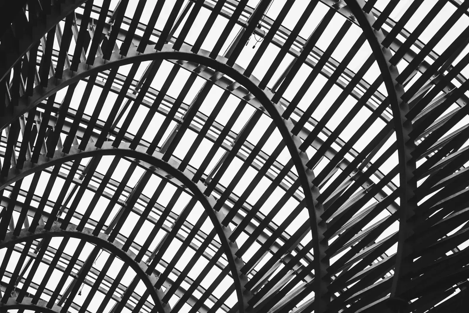Black and White, image 1 of 13