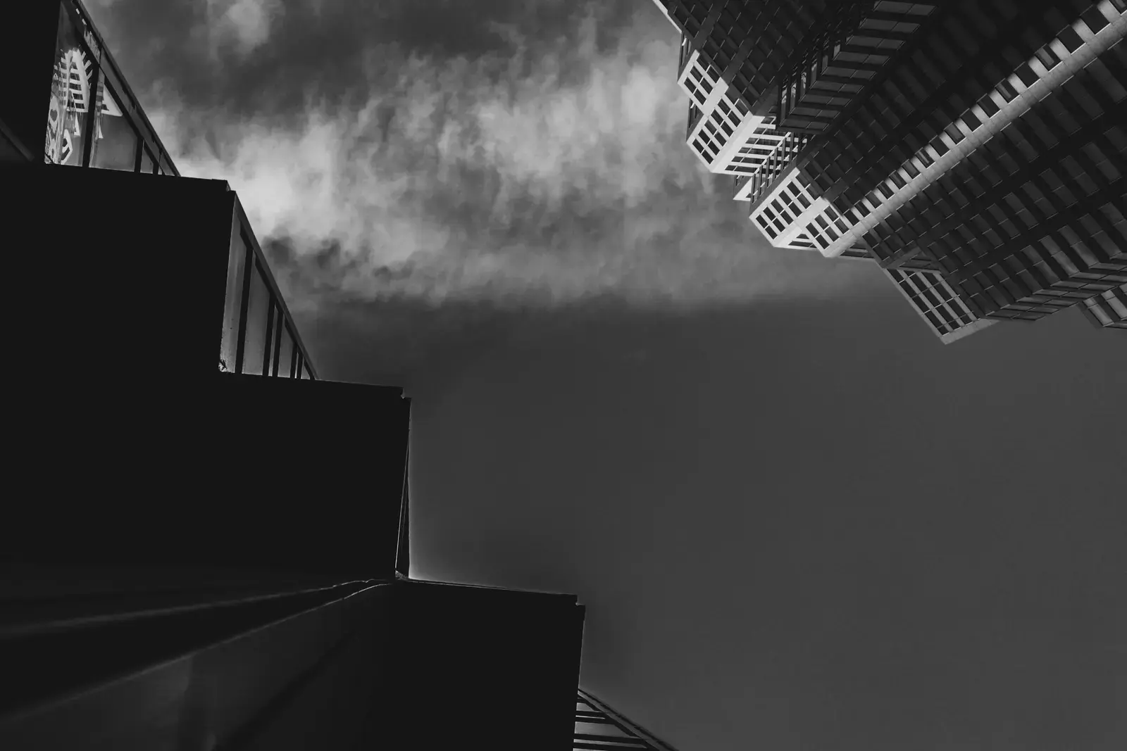 Black and White, image 4 of 13