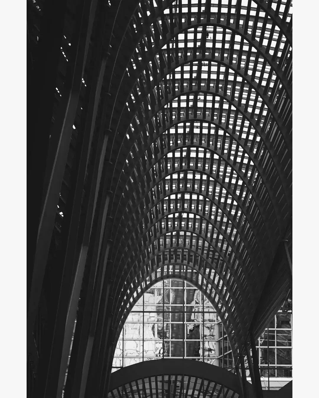 Black and White, image 2 of 13