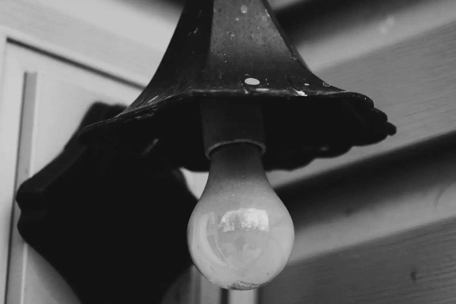 Black and White, image 9 of 13