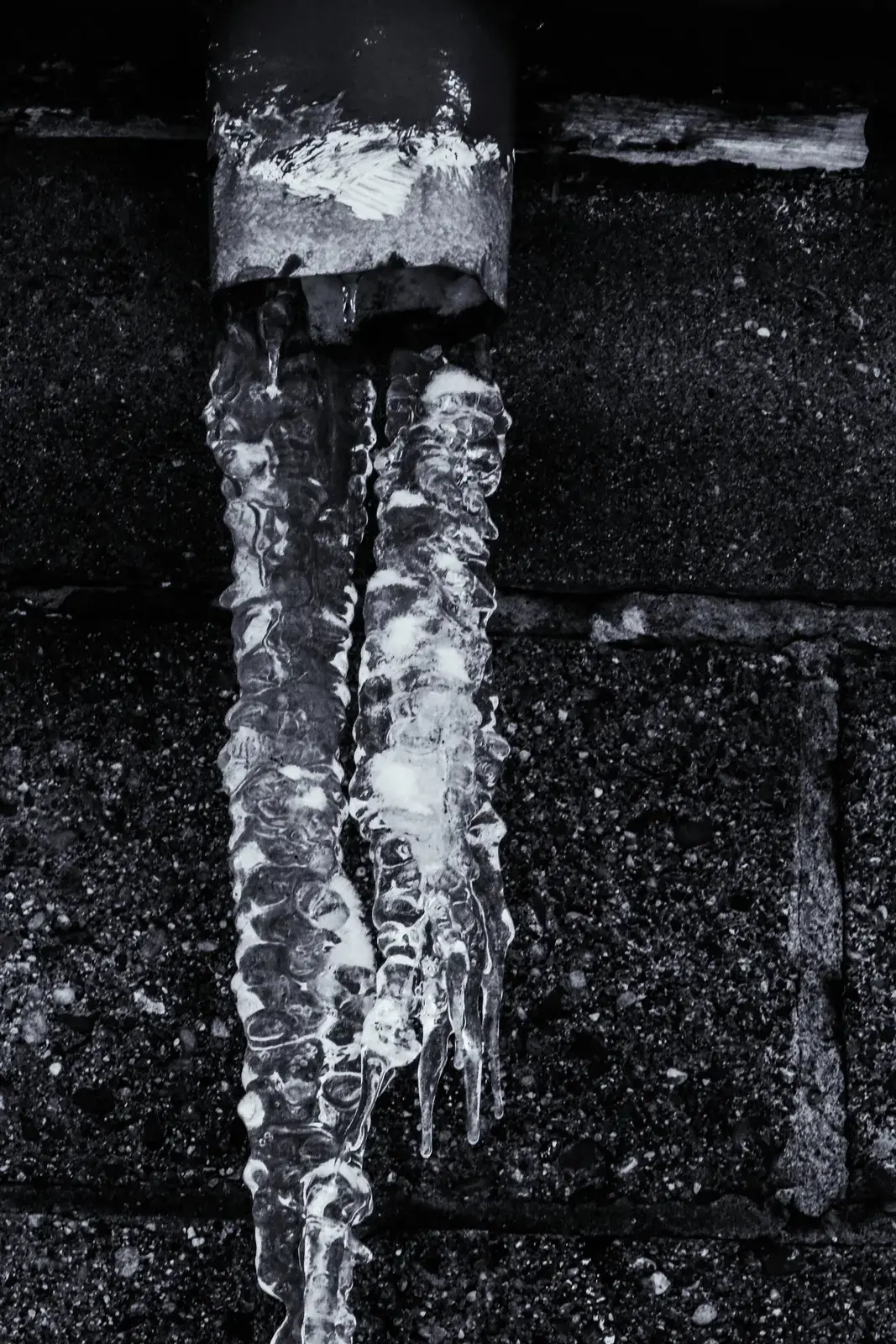 Black and White, image 10 of 13