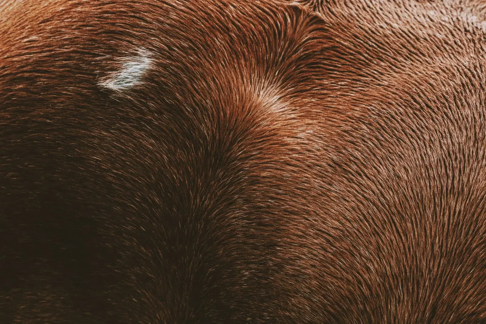 Textures, image 17 of 20