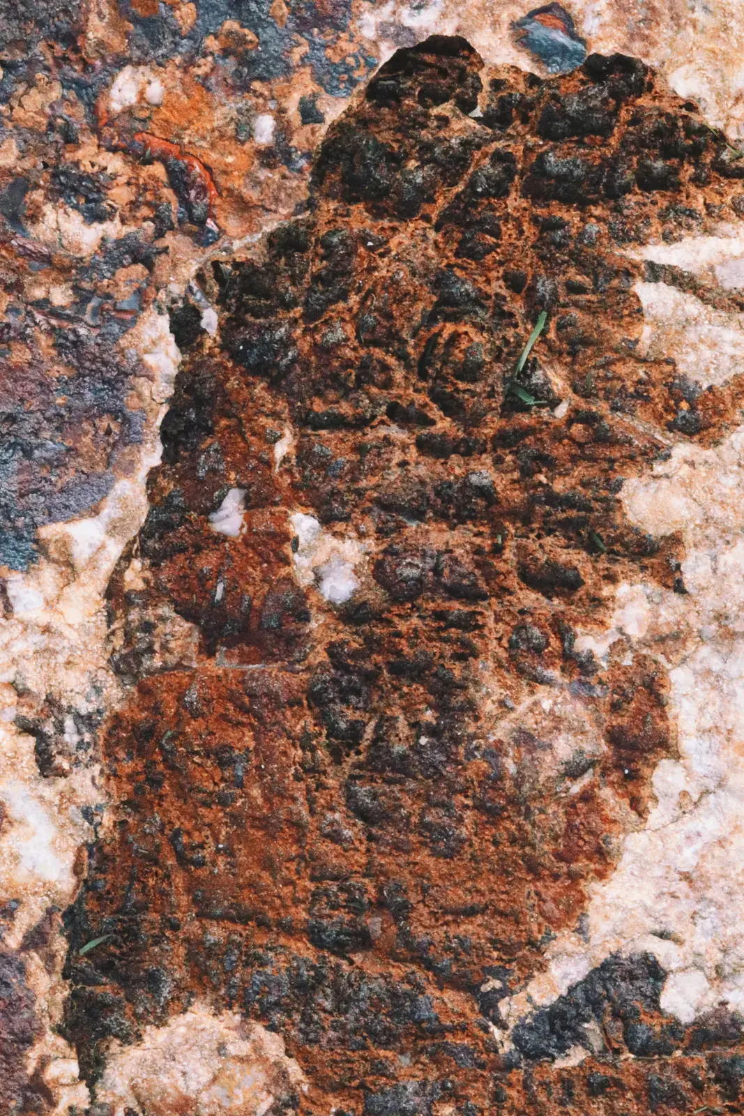 Textures, image 12 of 20