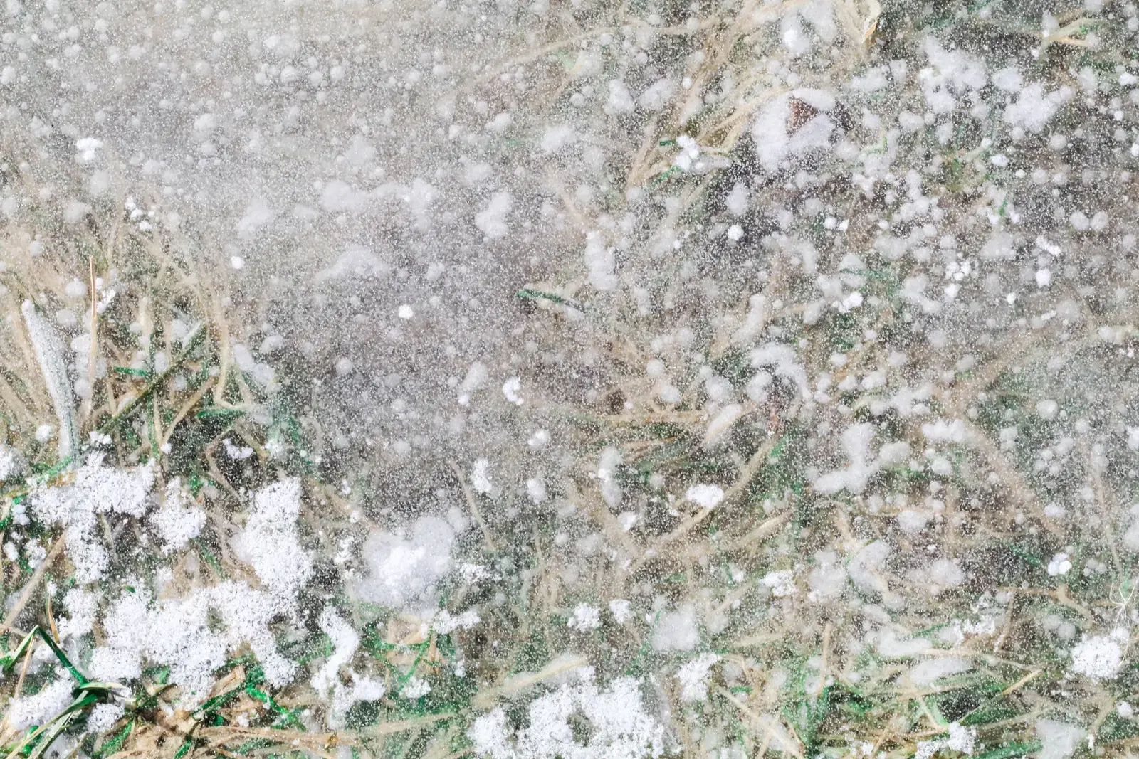 Textures, image 3 of 20