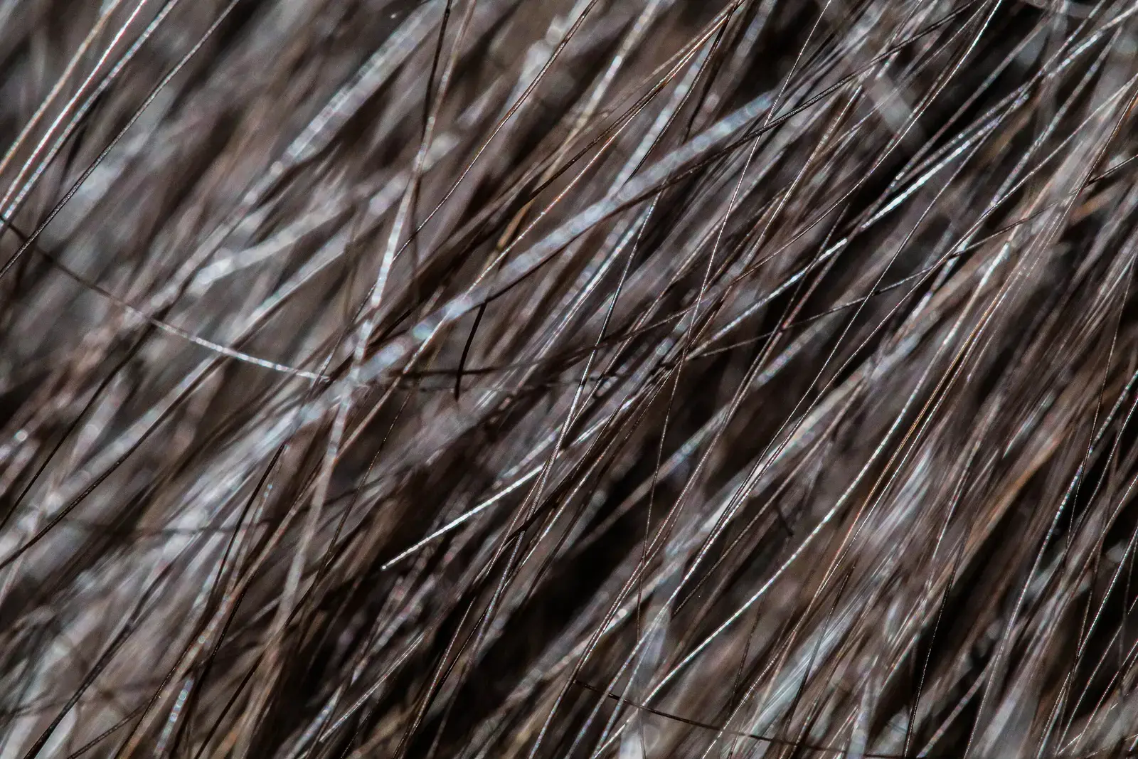 Textures, image 20 of 20