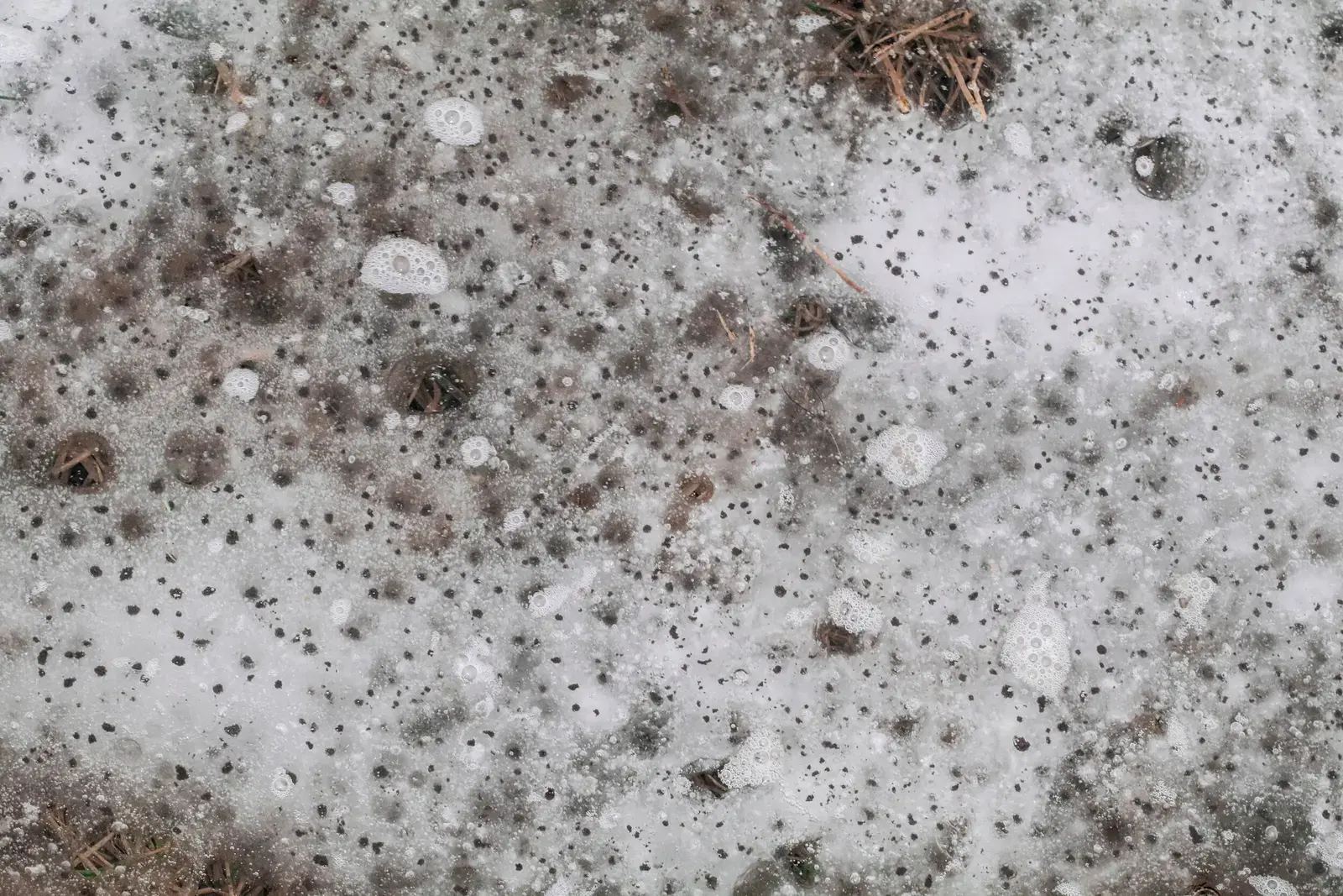 Textures, image 11 of 20