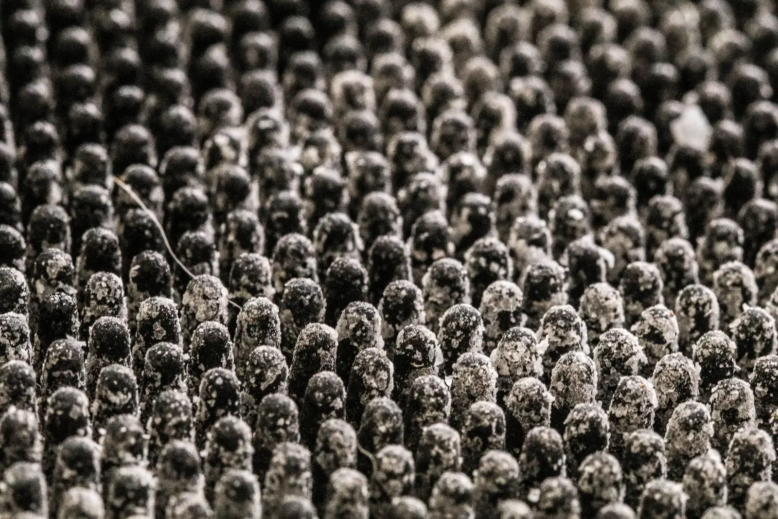 Textures, image 15 of 20