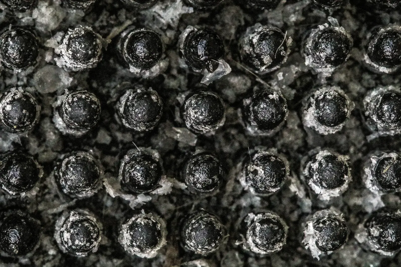 Textures, image 16 of 20